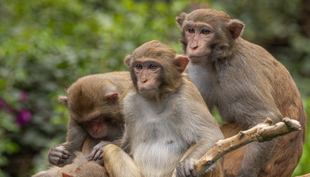 Similar image 22174655