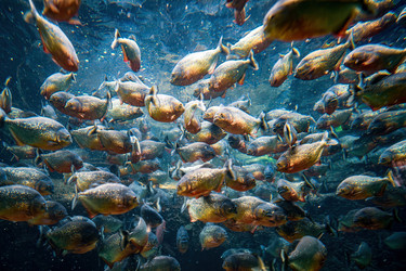 Similar image 22174656