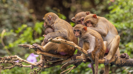 Similar image 22174659