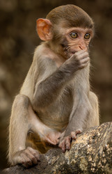 Similar image 22174660