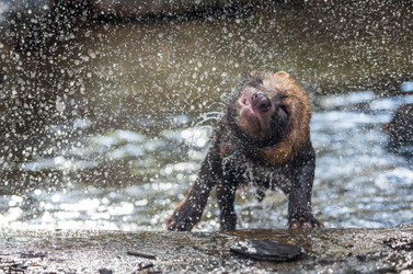 Similar image 22174661