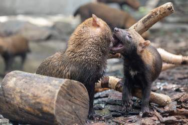 Similar image 22174662