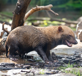 Similar image 22174663