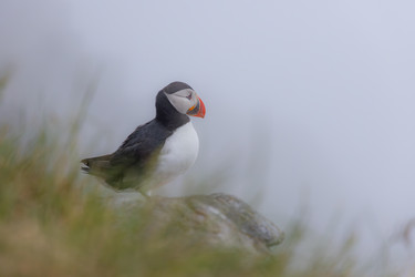 Similar image 22174664