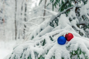 Similar image 22177830