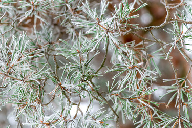 Similar image 22177831