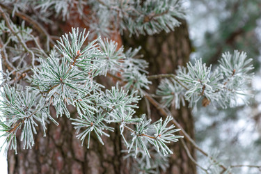 Similar image 22177833