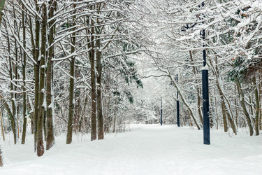 Similar image 22177834