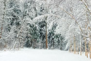 Similar image 22177836