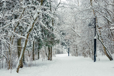 Similar image 22177840