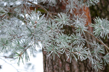 Similar image 22177841