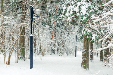 Similar image 22177842