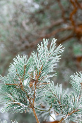 Similar image 22177843