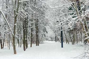 Similar image 22178110