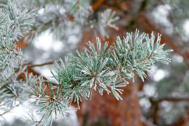 Similar image 22178111