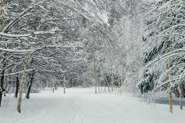 Similar image 22178112