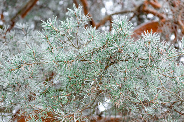 Similar image 22178113