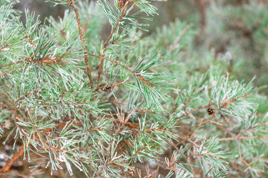 Similar image 22178115