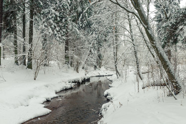 Similar image 22178116