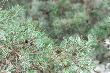 Similar image 22178117