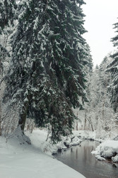 Similar image 22178118