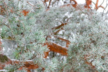 Similar image 22178119