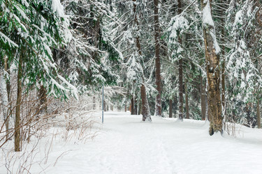 Similar image 22178120