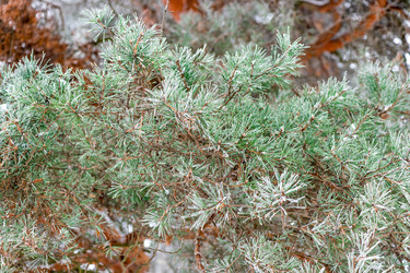 Similar image 22178125