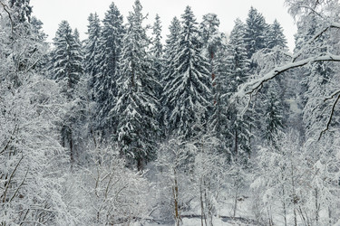 Similar image 22178131