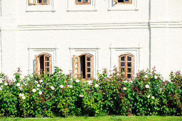 Similar image 22178143