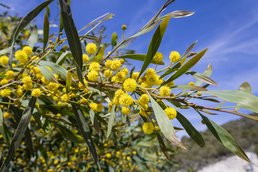 Similar image 22174300