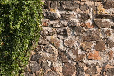 Similar image 22190150