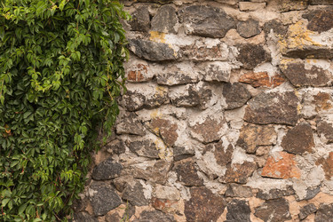 Similar image 22190161