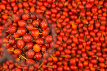 Similar image 22190167