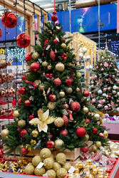 Similar image 22179273