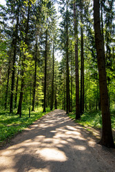 Similar image 22181043