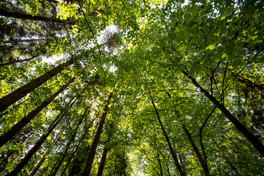 Similar image 22181046