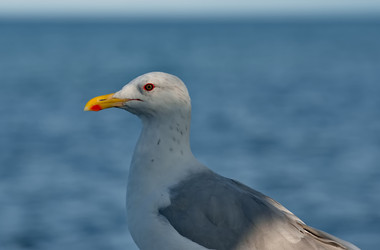 Similar image 22186985