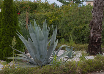 Similar image 22186986