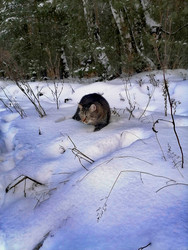 Similar image 22181393