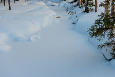 Similar image 22177887