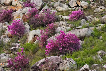 Similar image 22176915