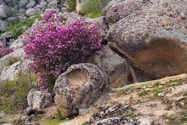 Similar image 22176918