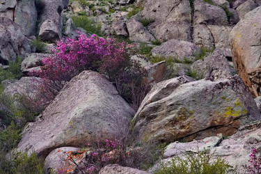 Similar image 22176919