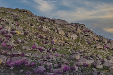 Similar image 22176921