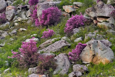 Similar image 22176922