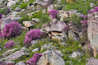 Similar image 22176924