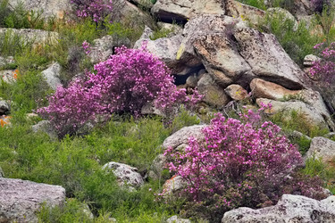 Similar image 22176926