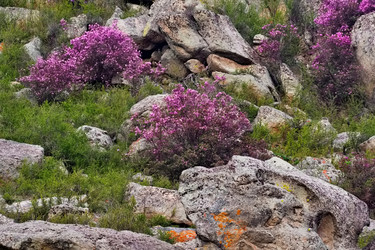 Similar image 22176927