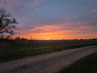 Similar image 22180835